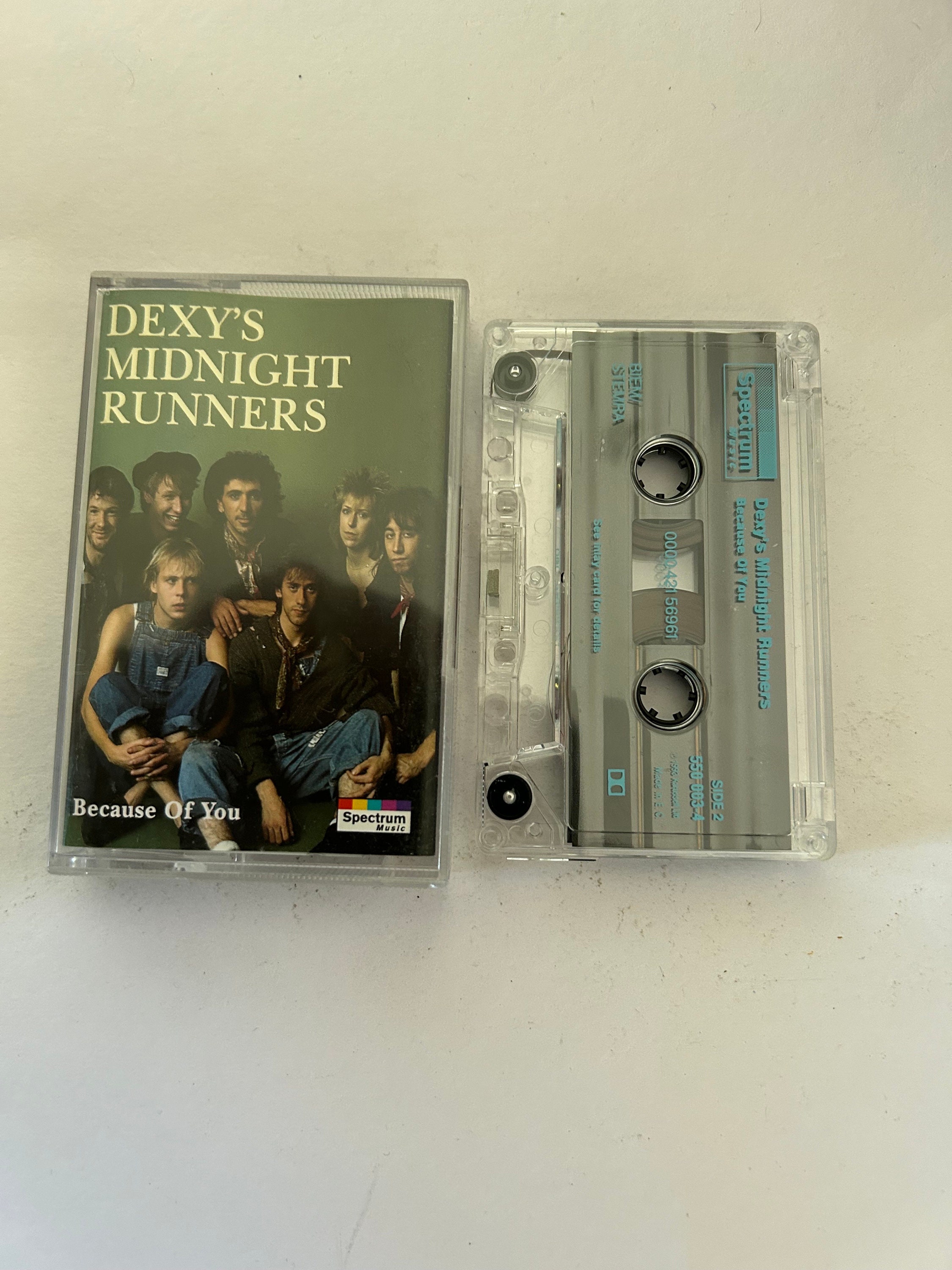 ミュージック Entertainment Live -DOME TOUR- DVD Dexy's Midnight - Etsy Australia