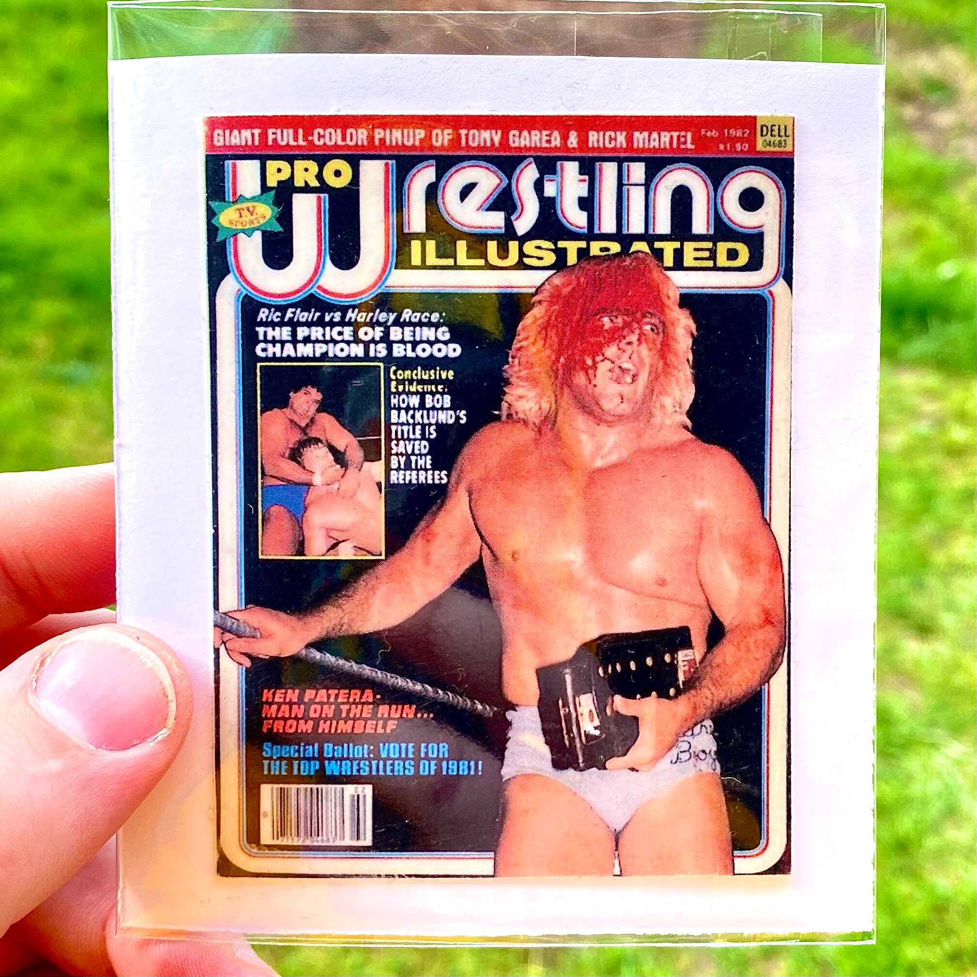 Slideshow ric flair nude.