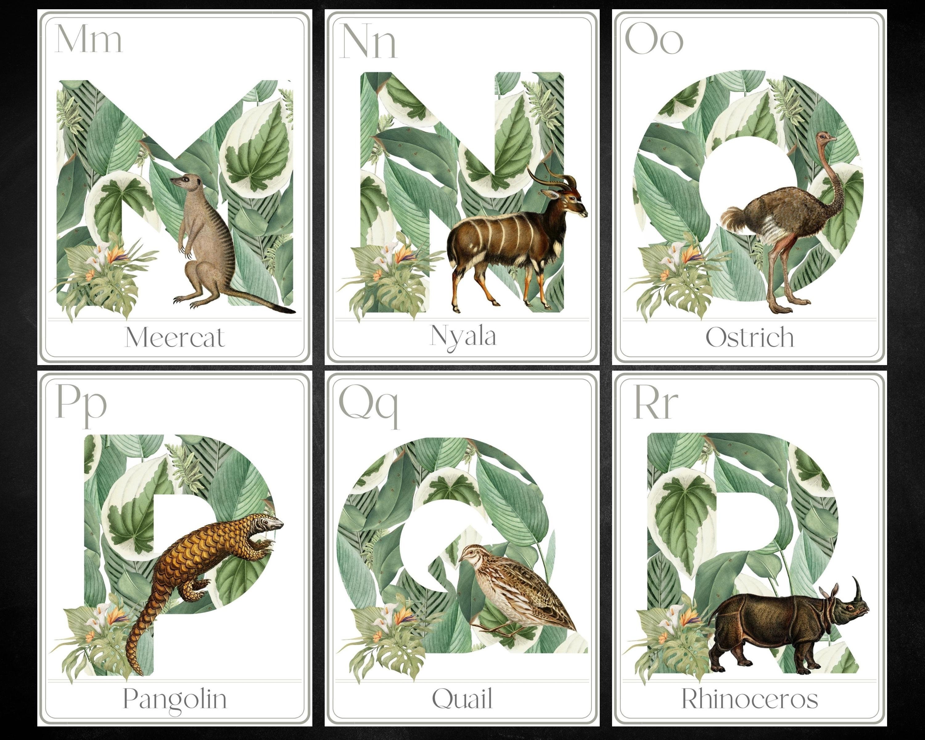 Vintage Animal Alphabet Poster Educational Alphabet Flashcard Printable