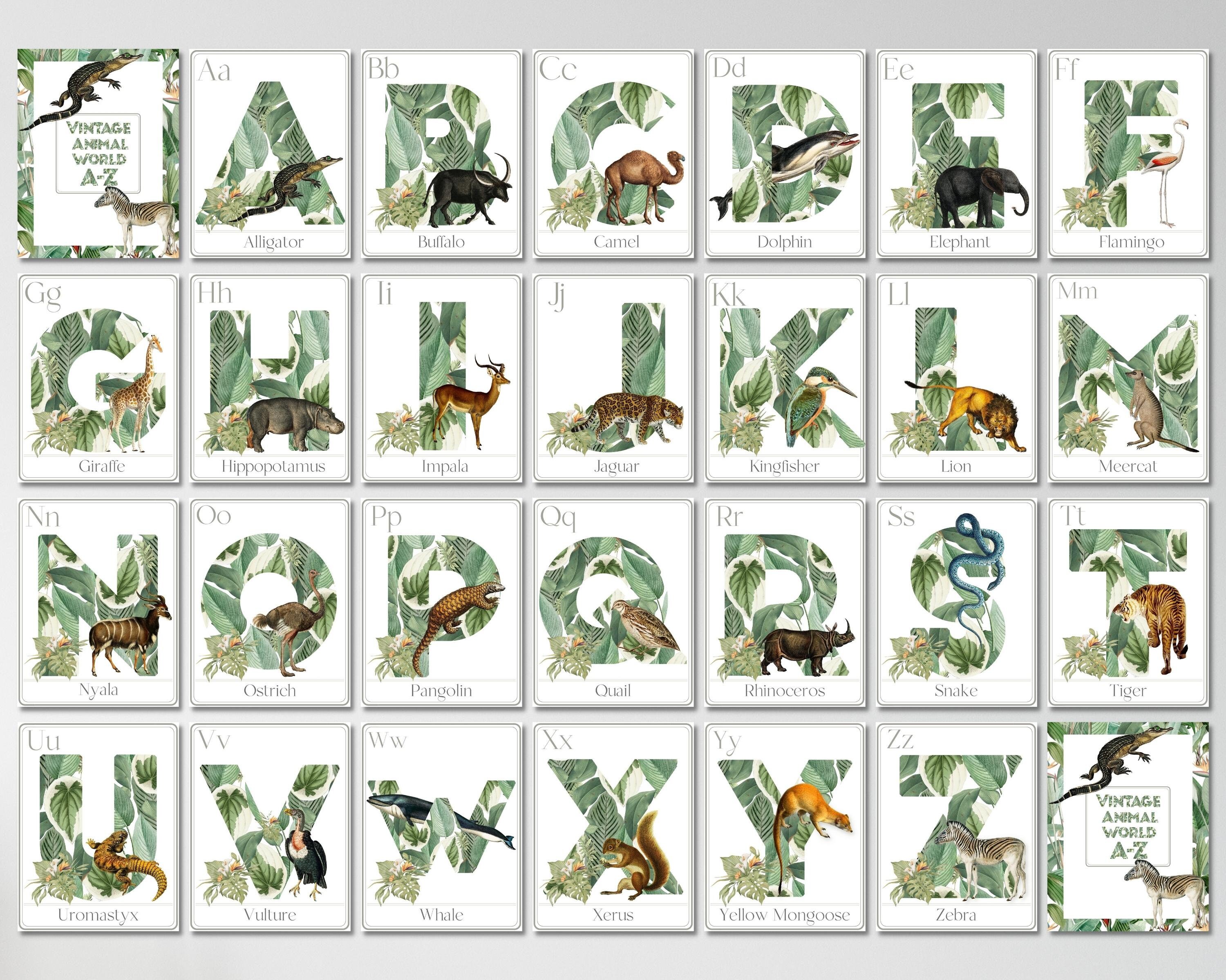 Vintage Animal Alphabet Poster and Alphabet Flashcards Etsy