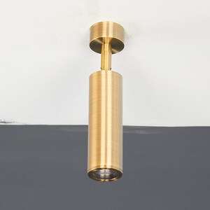 May include: A gold-toned cylindrical ceiling light fixture with a round, flat top.