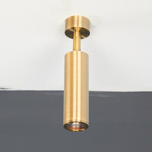 May include: A gold-toned cylindrical ceiling light fixture with a round, flat top.