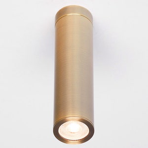 May include: A brushed brass ceiling light fitting with a cylindrical design and a round, frosted glass diffuser.