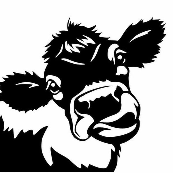 Cow Decal Etsy