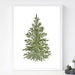 Christmas Winter Tree Print, Snowy Tree, Digital Download, PDF ...