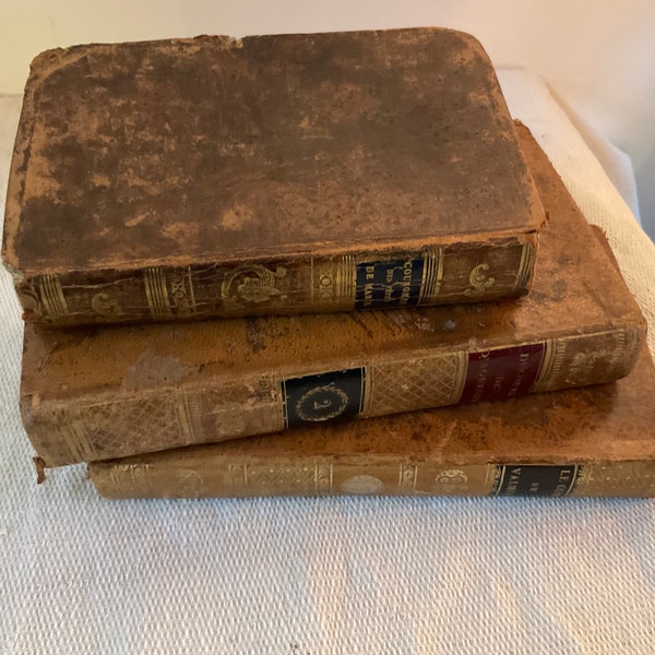 Three very decorative antique french small leather bound books