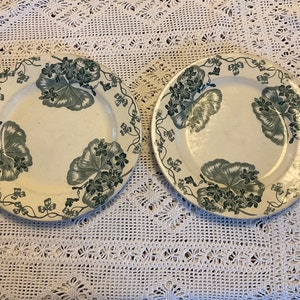 Dos platos antiguos de loza francesa terre de fer R&A SALINS alrededor de 1900