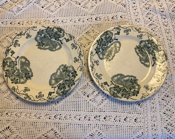 May include: Two white ceramic plates with a green floral design. The plates have a white background with green leaves and flowers.