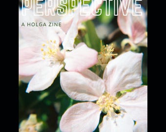 PRE-ORDER Plastic Perspective Issue 10