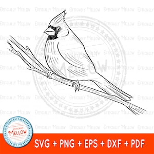 Kardinal SVG, Kardinal auf Zweig SVG, Kardinal Geschenk, Kardinal PNG, Erinnerung SVG, Kardinal Vektor, Kardinal Umriss, digitaler Download
