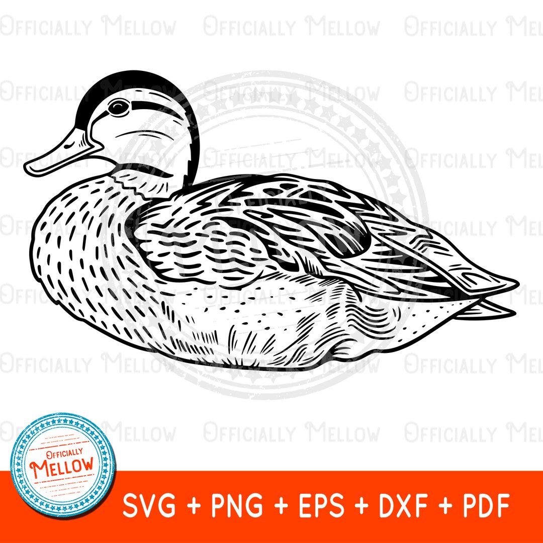 Mallard Duck SVG, Duck SVG, Mallard Duck Vector, Duck Lover Gift, Duck