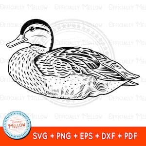 Mallard Duck SVG, Duck SVG, Mallard Duck Vector, Duck Lover Gift, Duck Outline, Duck clipart, duck dxf, Cute Bird, Cricut Silhouette