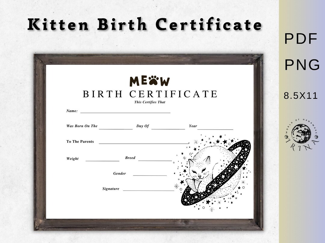 Kitten Birth Certificate Printable Cat Birth Pet Certificate,cat Owner ...