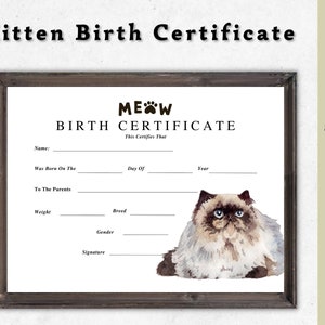 Kitten Birth Certificate Printable Cat Birth Pet Certificate,dog Owner ...