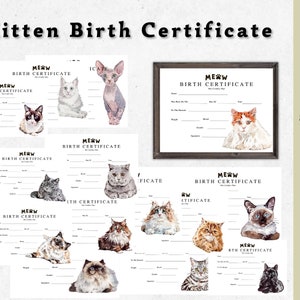 Kätzchen Geburtsurkunde druckbare Katzengeburtsurkunde, Hundebesitzer, Katzenliebhaber, Züchter Geburtsformulare, Geburtsurkunde