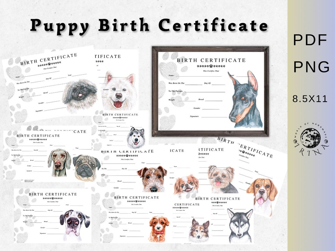 Puppy Birth Certificate Printable Dog Birth Pet Certificate,dog Owner ...
