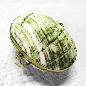 Peut inclure: Une petite bourse ovale en forme de coquillage naturel avec un cadre et un fermoir en laiton. La coquille a un motif rayé blanc et vert.