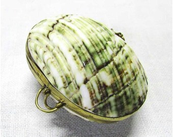 Antique Shell Box, Hinged trinket holder, Seashell box, Shell Trinket  Pill Box ~ Jewellery Ring Case  RaRe