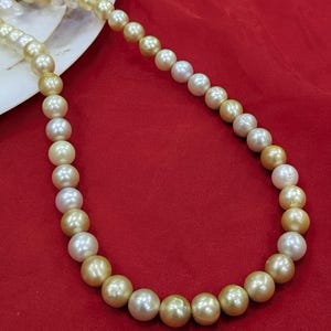 AAA Golden South Sea Pearl Necklace | Rare Big White Round Pearl | High Luster Pearl Jewelry | June Birthstone | Classic Bridal Necklace