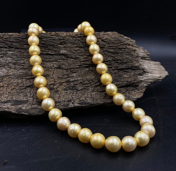 Collier Ras De Cou En Perles Des Mers Du Sud Dorées - Perles De Culture D'Eau Douce 1985 - ROSEMIMOSA