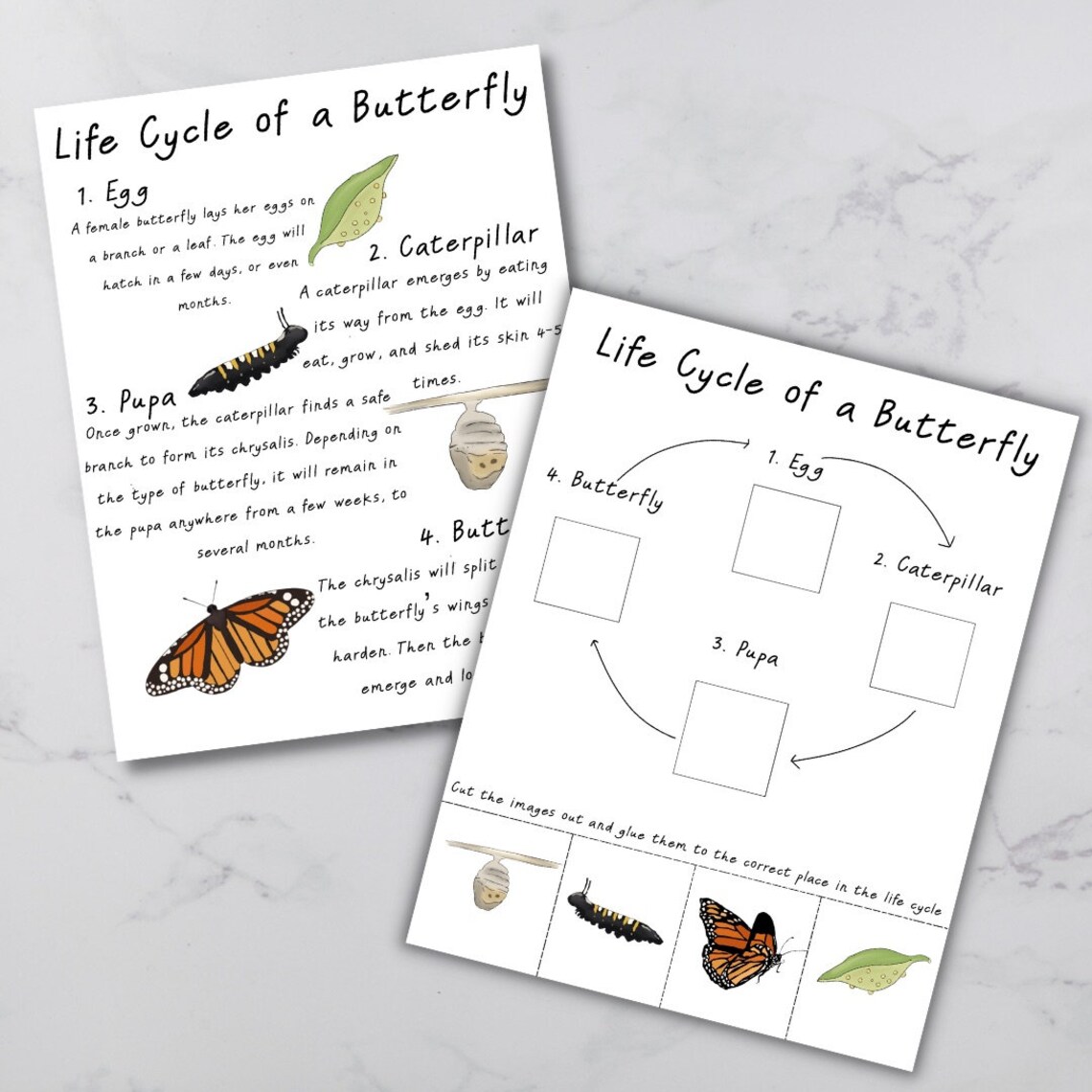 Homeschool Printables Homeschool Curriculum Preschool - Etsy