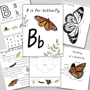 May include: A printable educational worksheet for kids featuring the letter B and a butterfly. The worksheet includes a coloring page, a letter identification activity, and a life cycle diagram of a butterfly. The text on the worksheet says "B is for butterfly" and "Life Cycle of a Butterfly".