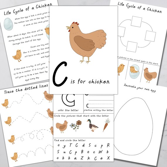 Homeschool Printables Homeschool Curriculum Preschool - Etsy