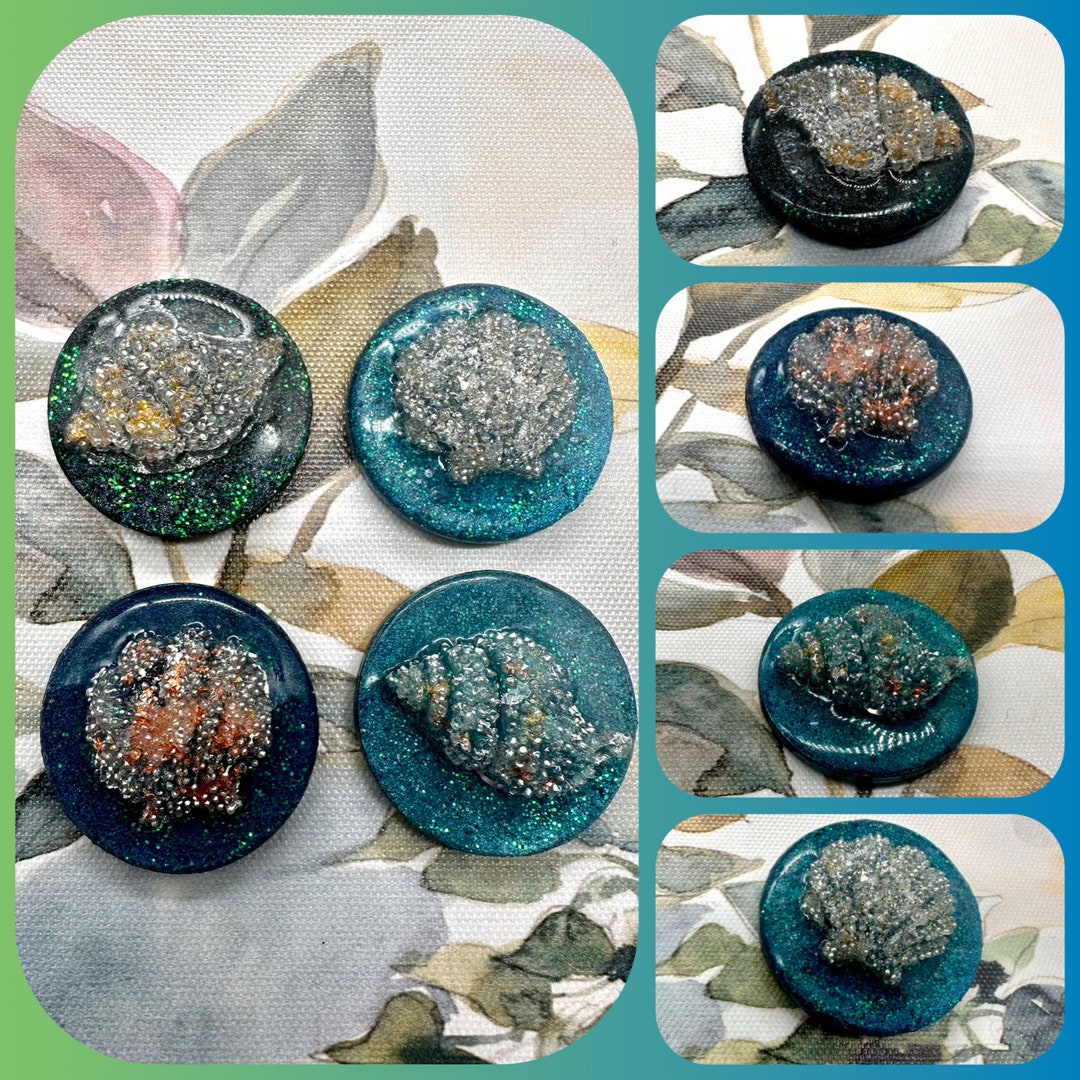 Set of 4 Shells Magnets. - Etsy