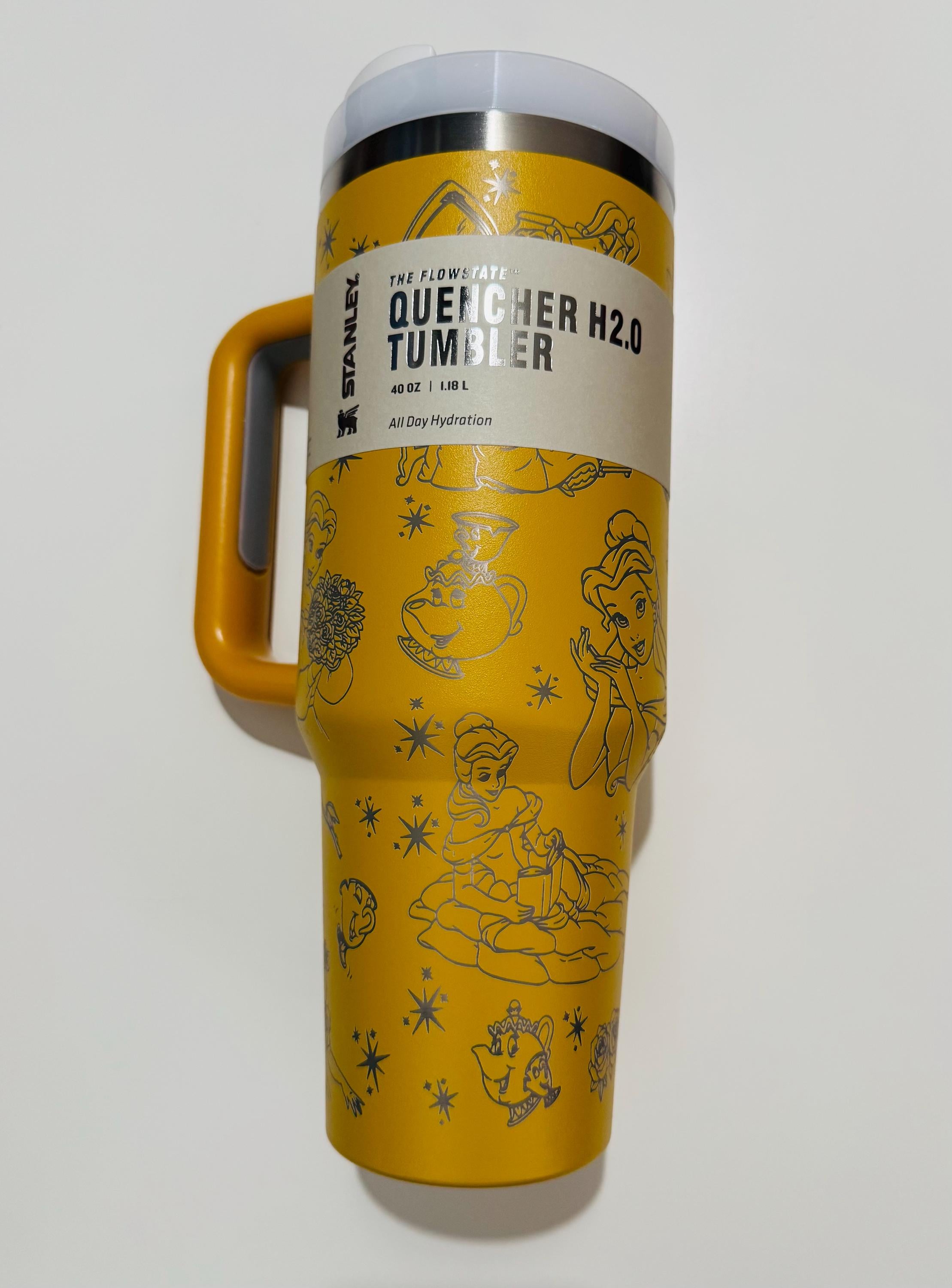 Beauty and the Beast Disney-inspired Princess Custom Laser