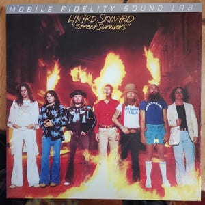 Lynyrd Skynyrd Street Survivor Album - Etsy