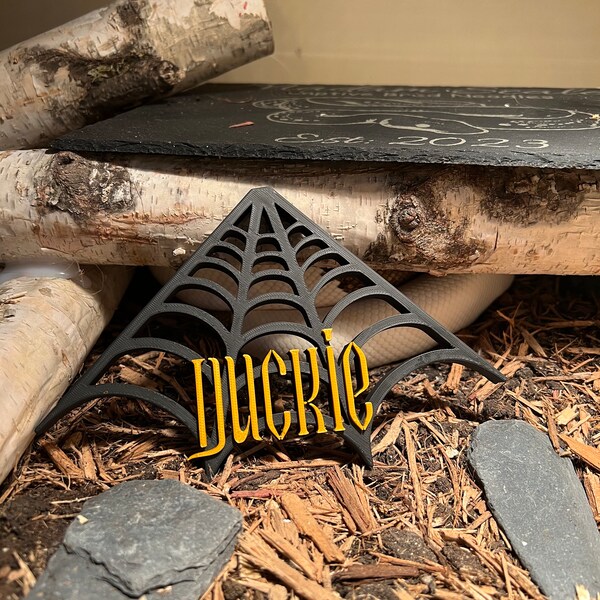 Reptile Tank Decor Etsy