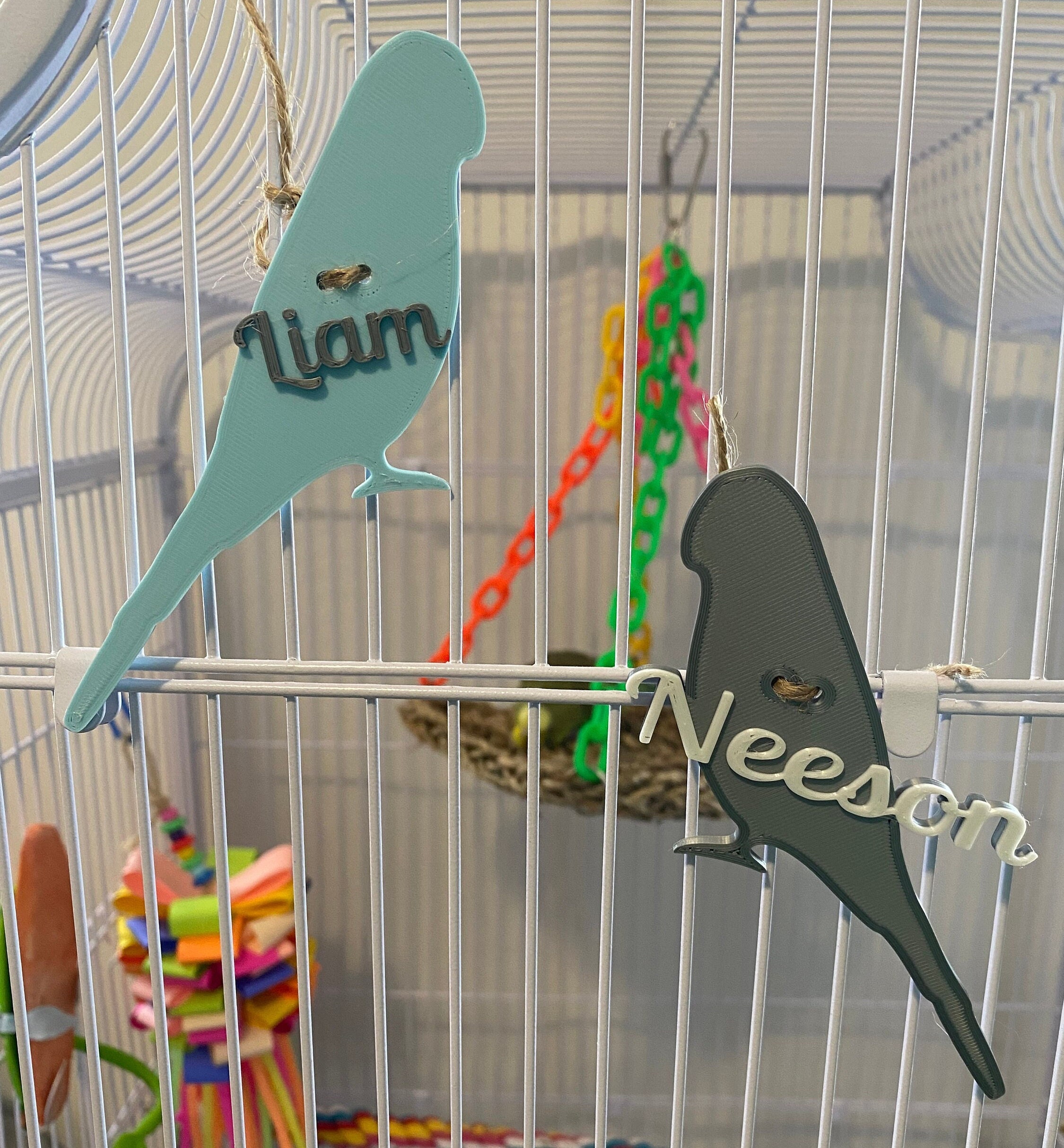 Custom Parakeet Cage Name Plate custom Name Tag personalized Budgie Cage Decor Etsy