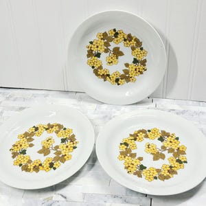 Vintage Set of 3 Yellow Floral Plates CP Colditz plates German