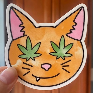 Litty Kitty