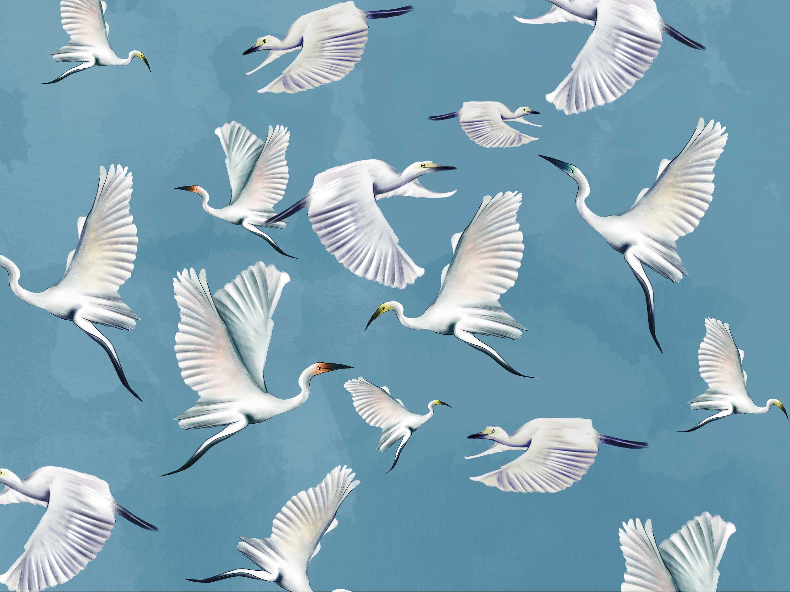 Blue Heron Print Wallpaper Asian Birds Wall Art Crane Wall - Etsy