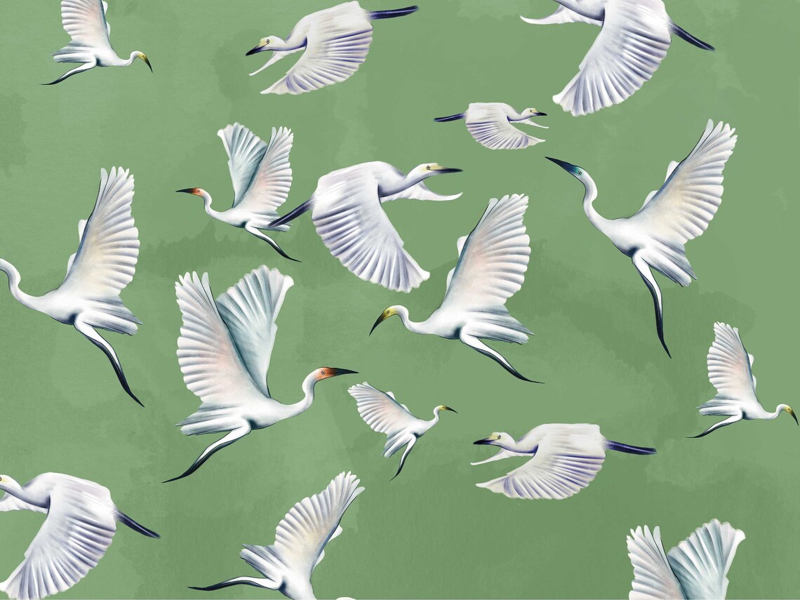 Green Heron Print Wallpaper Asian Birds Wall Art Crane Wall Etsy