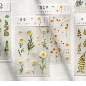 Flower Stickers, For Journaling, Scrapbooking, Craft, Decoration, Daisy, Sakura, Cherry blossoms, 1 sheet