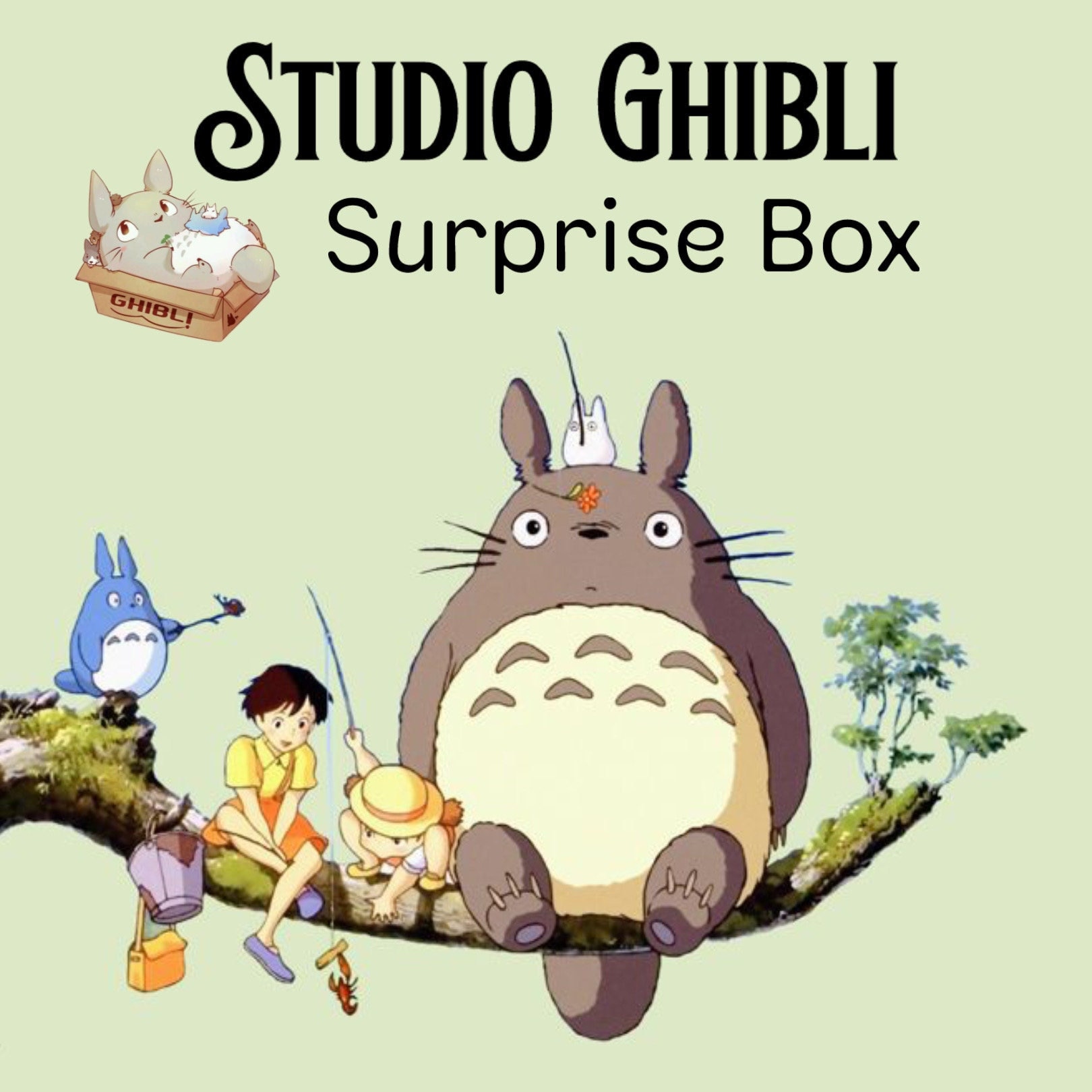 Studio Ghibli Surprise Box, Anime Mystery Box, Totoro Gift Set