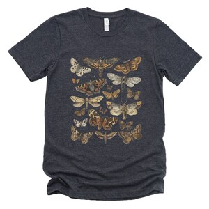 May include: A dark heather grey t-shirt with a vintage illustration of various moths and butterflies in shades of brown, orange, and white.