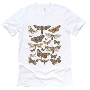 May include: White t-shirt with a vintage illustration of various moths and butterflies in shades of brown, black, and white.