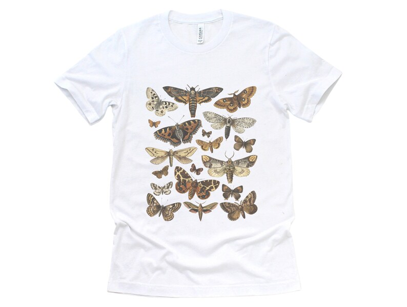 May include: White t-shirt with a vintage illustration of various moths and butterflies in shades of brown, black, and white.