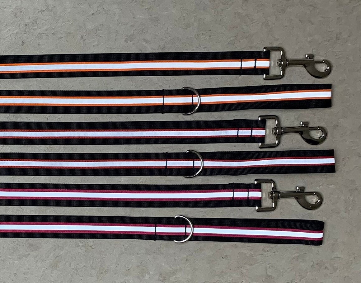 High Visibility Dog Leash, Lightweight Leash, Handmade Leash, Dog Leash with D Ring, Showy Walking Leash