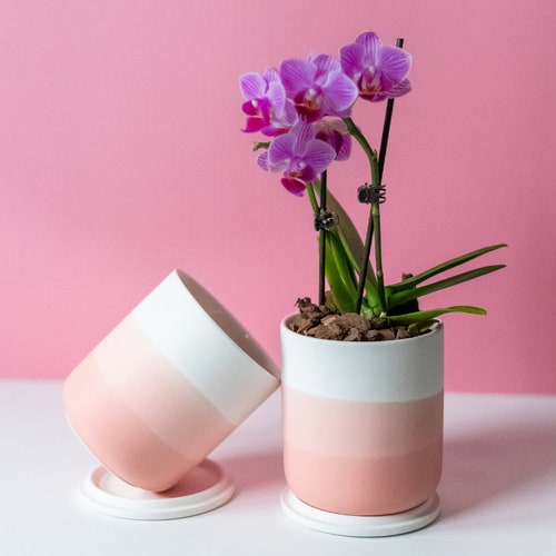 Handmade Ombre Matte Ceramic Plant Pot | Cute Pencil Holder | Indoor Modern Pot | Succulent Pot | Desk Ceramic Planter | Housewarming Gift