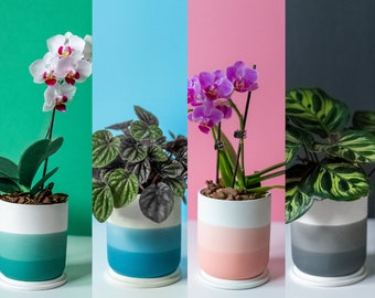 Handmade Ombre Ceramic Planter Set: Modern Indoor Plant Pots