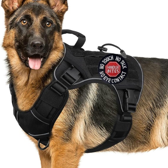 2 Pcs Service Dog Patch for Service Dog Vest | Do Not Pet Patch | Dog Patches for Harness | Patches for Dog Harness | Service Dog Patches with