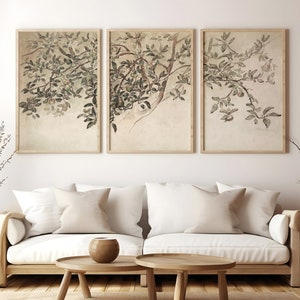 May include: Three framed prints of a watercolor painting of a branch of a tree with leaves and fruit. The prints are hung on a white wall above a white sofa with pillows.