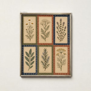 Può includere: Una stampa artistica da parete incorniciata con sei pannelli rettangolari, ognuno dei quali mostra un'illustrazione botanica di una diversa erba o fiore su sfondo beige. I pannelli sono bordati da motivi decorativi nei colori verde, rosso e blu.