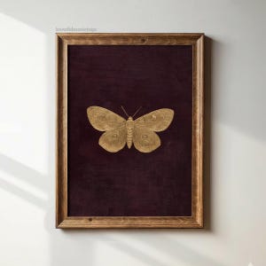 May include: A framed print featuring a gold-colored butterfly illustration centered on a dark burgundy background. The butterfly is detailed with intricate wing patterns. The frame is made of wood. The text "bonofidesavintage" is in the top left corner.
