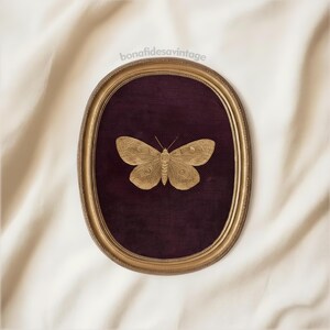 May include: A gold-colored moth framed in an oval, gold-toned frame. The moth is centered on a dark purple background. The frame is set against a white, textured fabric. The text "bonafidesvintage" is in the upper left corner.