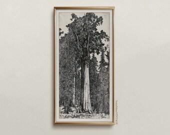 Antique Print Of an Oak Tree, Printable Antique Tree Artwork, Oak Wall Decor, Printable Wall Art, Digital Download